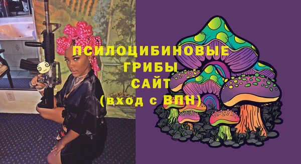 бошки Балахна